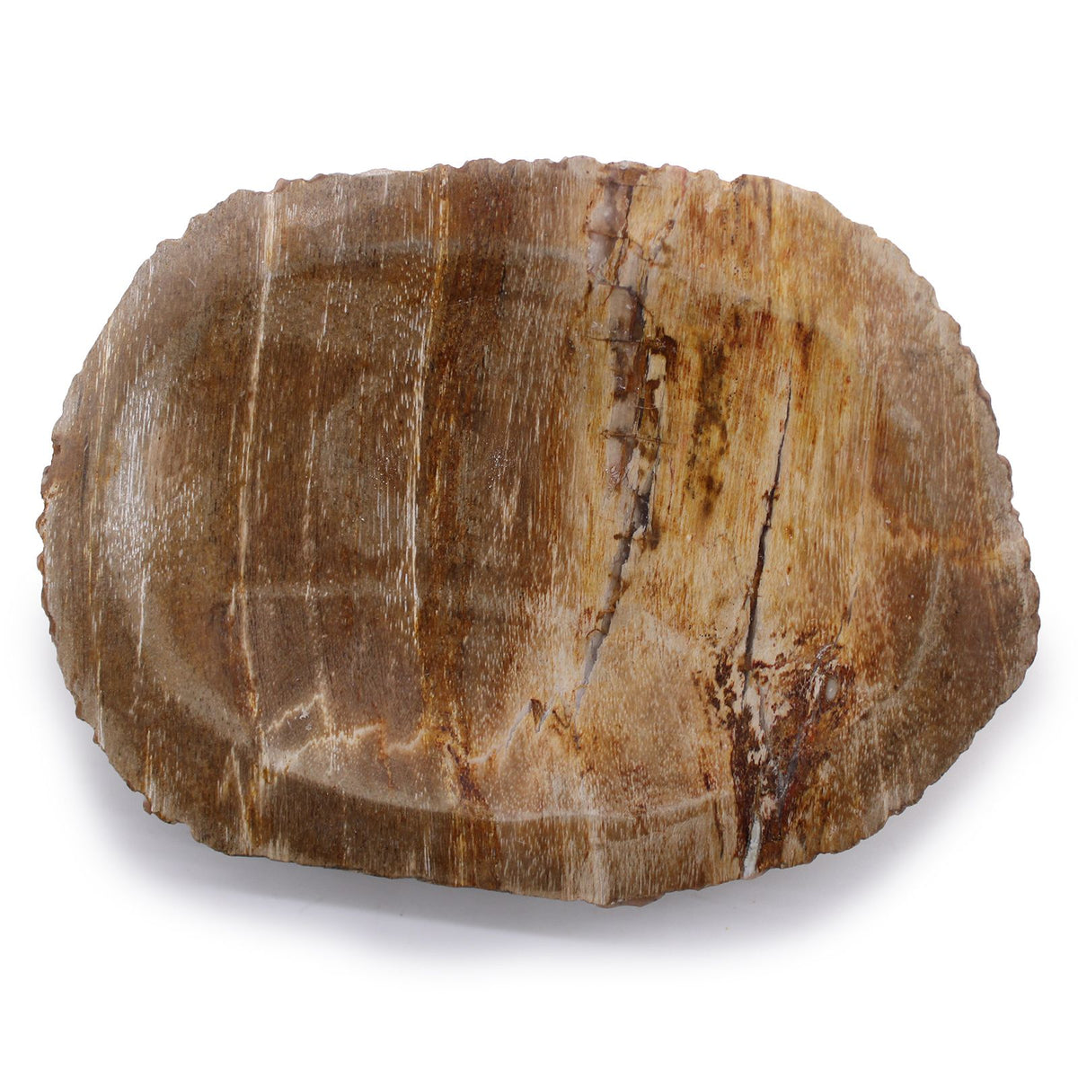 Zeepschaaltje van Bruin Versteend Hout