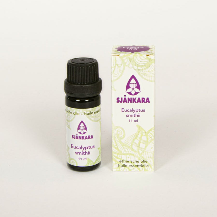 Eucalyptus Smithii 11 ml