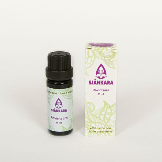 Ravintsara 11 ml