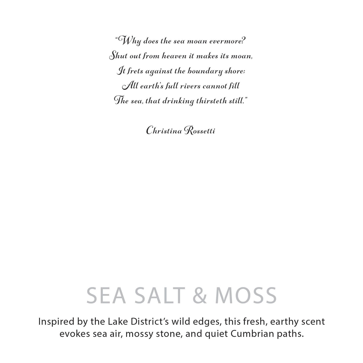 Agnes + Cat Botanische Sojakaars – Sea Salt & Moss
