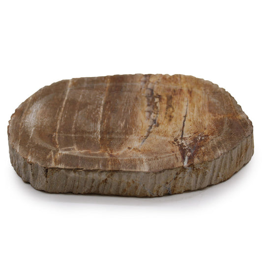 Zeepschaaltje van Bruin Versteend Hout
